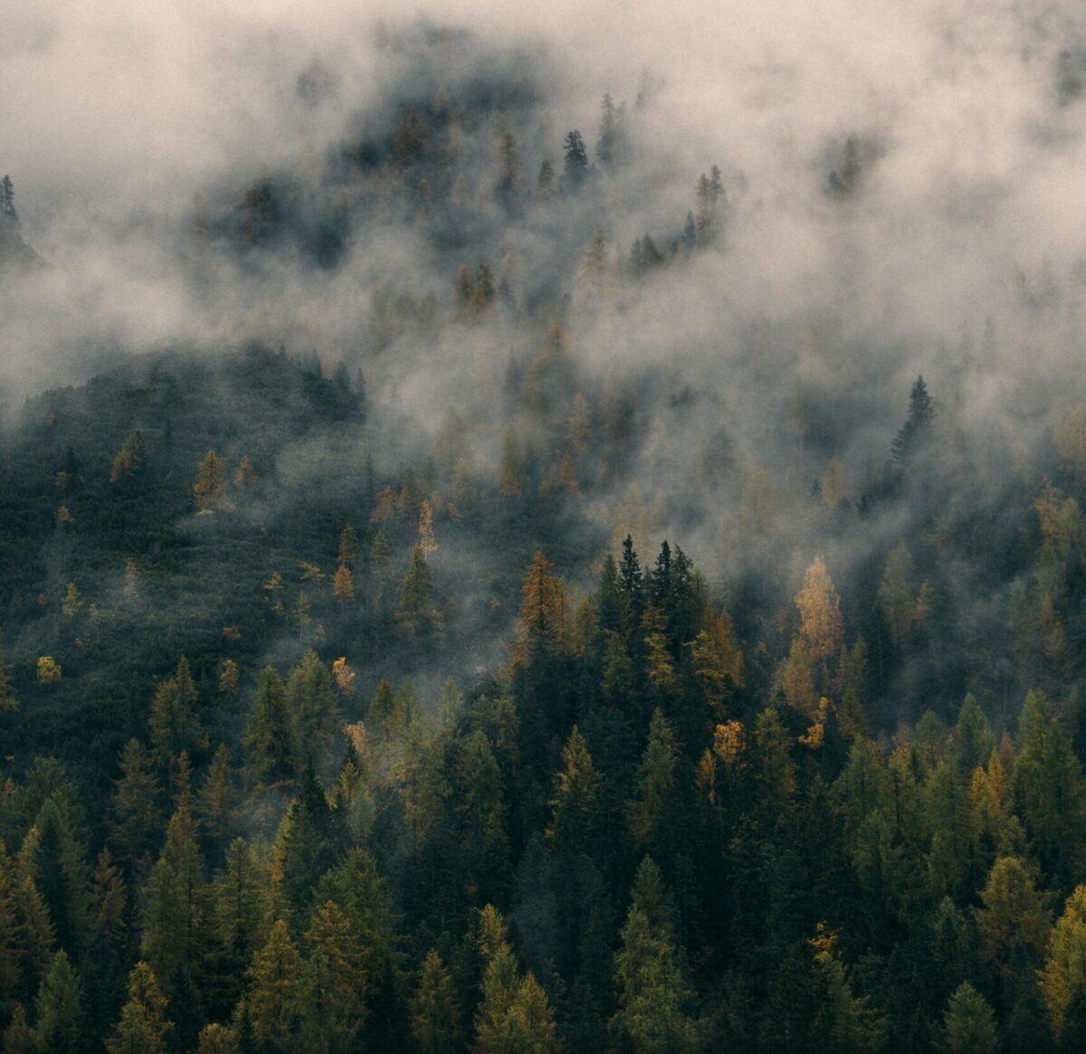 ENA Filter WooCommerce Webshop