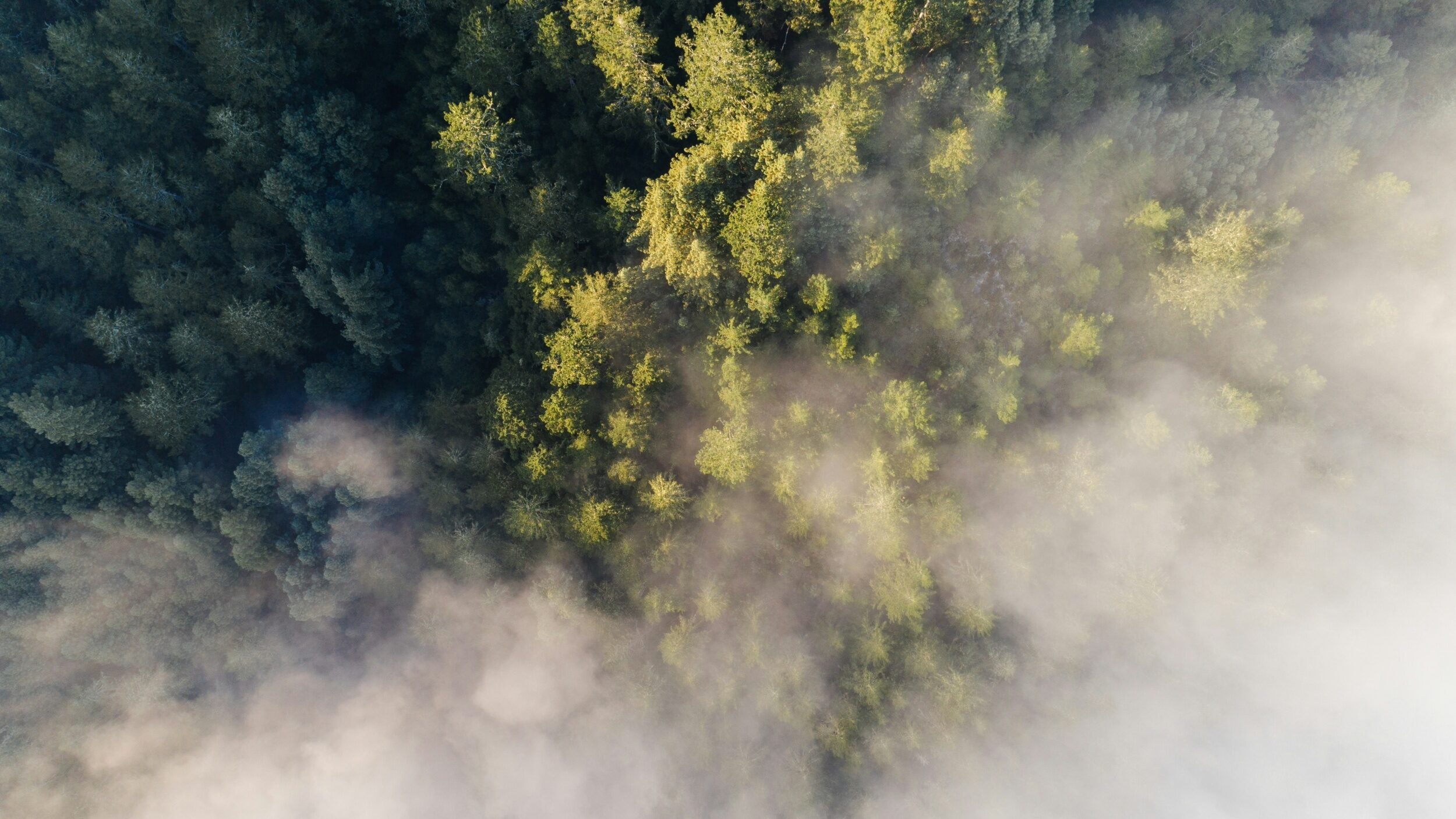 ENA Filter WooCommerce Webshop